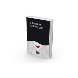 Chroniques du sens | Editions Kawa